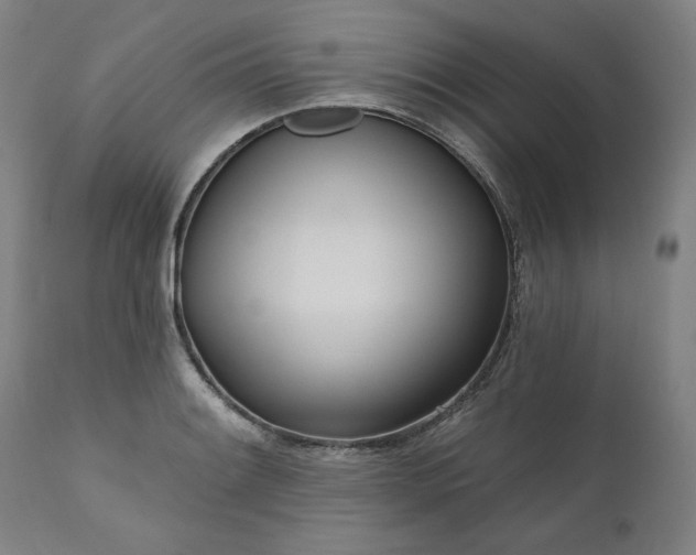 X0000111171084200907151253