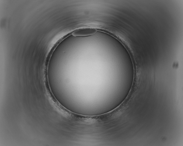 X0000111171085200907151253