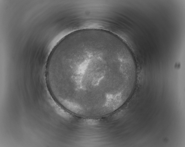 X0000111171086200907151253