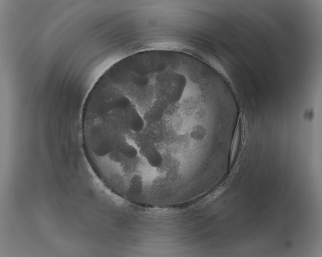 X0000111171087200907151253