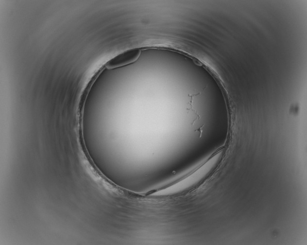 X0000111171088200907151253