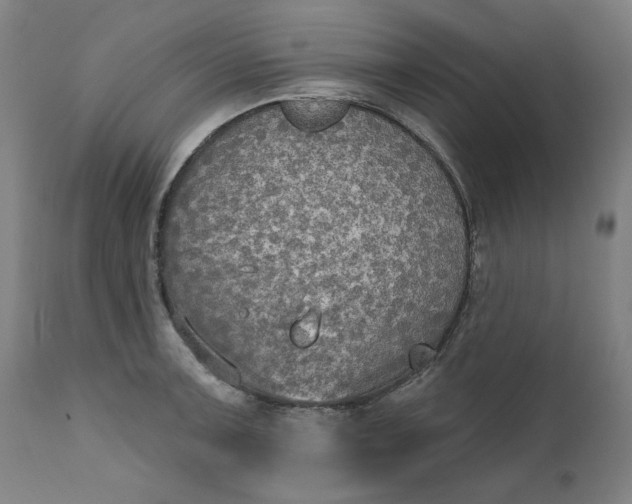 X0000111171091200907151253