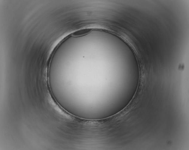 X0000111171092200907151253