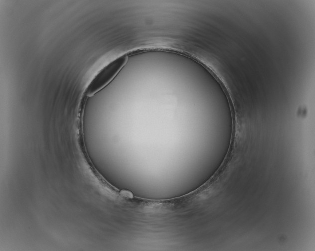 X0000111171093200907151253