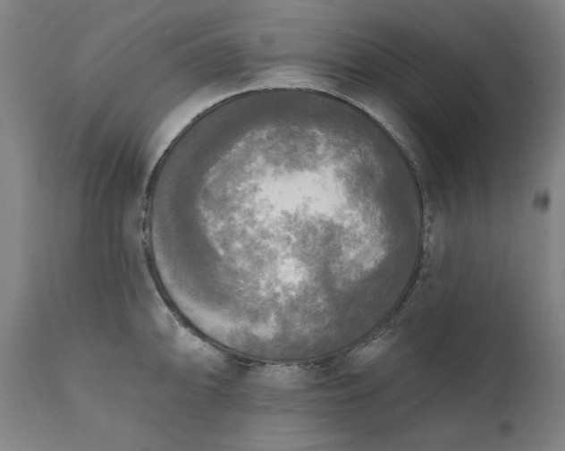 X0000111171094200907151253