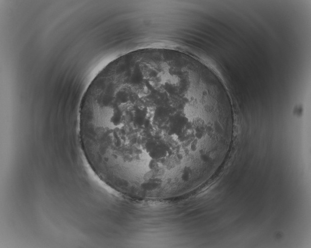 X0000111171095200907151253