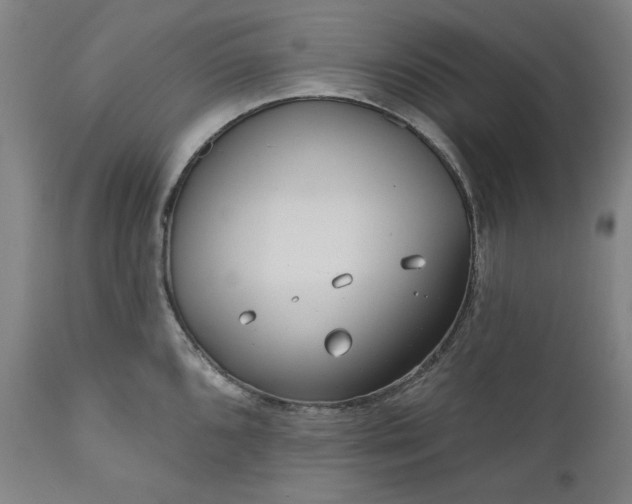 X0000111171096200907151253