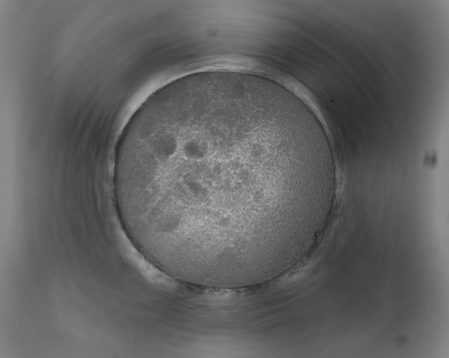 X0000111171099200907151253