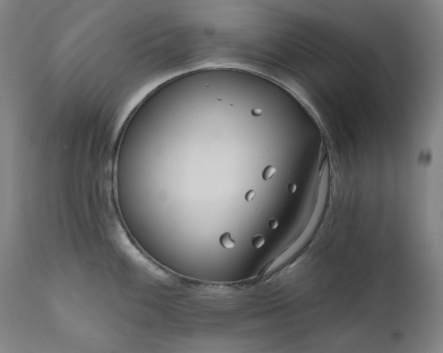 X0000111171100200907151253