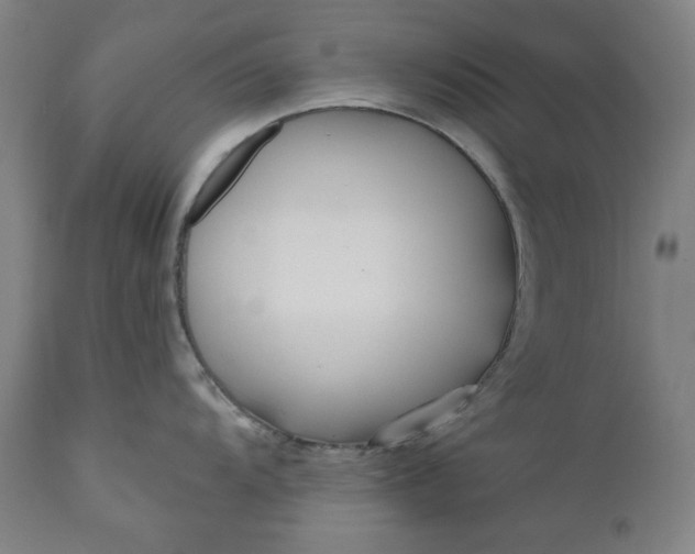 X0000111171104200907151252