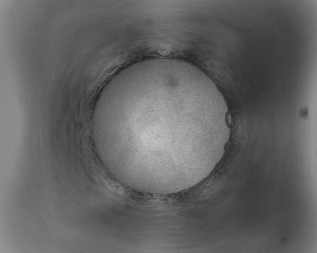 X0000111171105200907151252