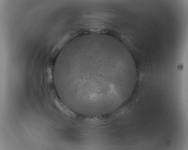 X0000111171106200907151252