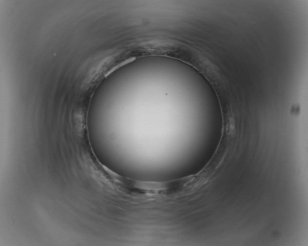 X0000111171108200907151252