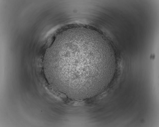 X0000111171110200907151252