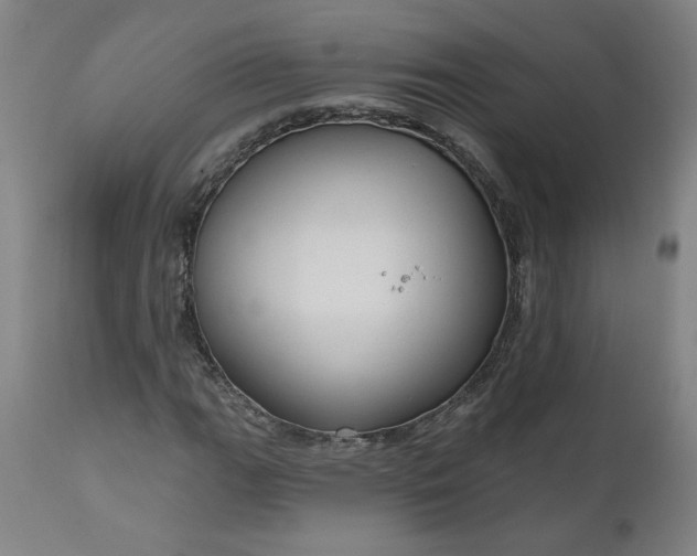 X0000111171111200907151252