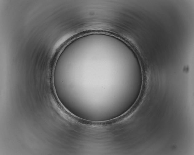 X0000111171114200907151252