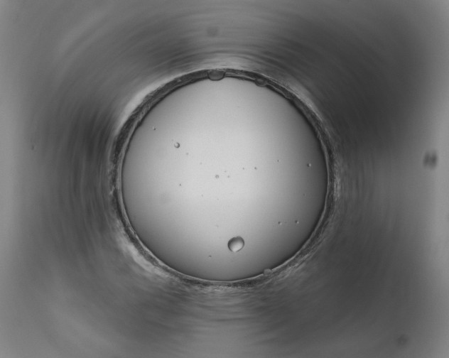 X0000111171116200907151252