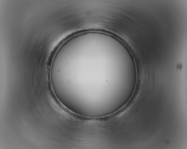 X0000111171118200907151252