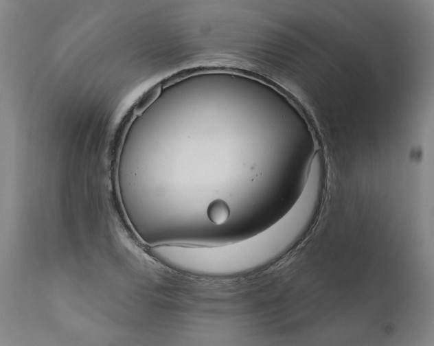 X0000111171120200907151252