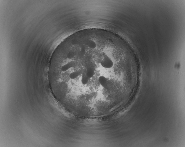 X0000111171121200907151252