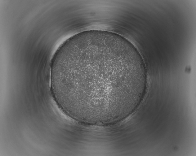 X0000111171123200907151252