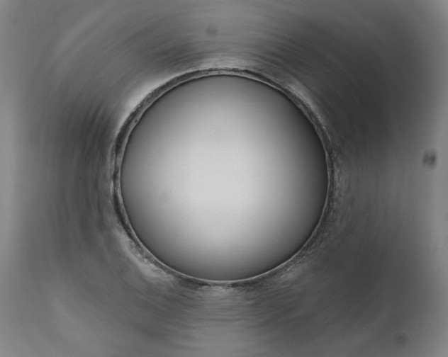 X0000111171124200907151252