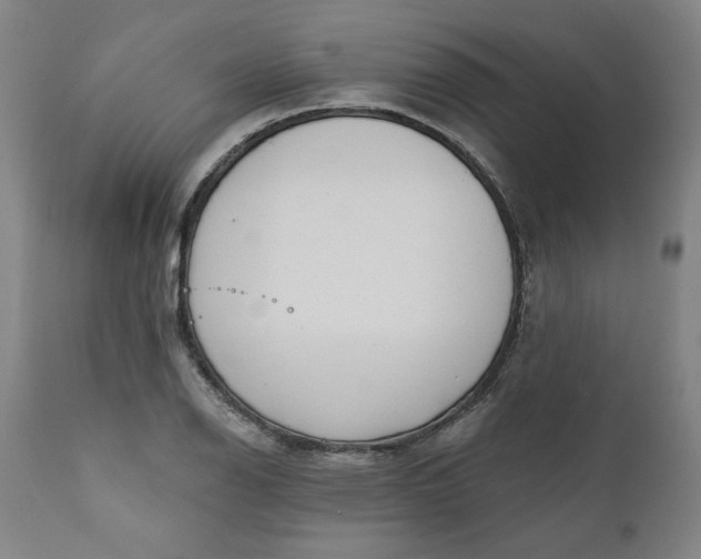 X0000111171126200907151252