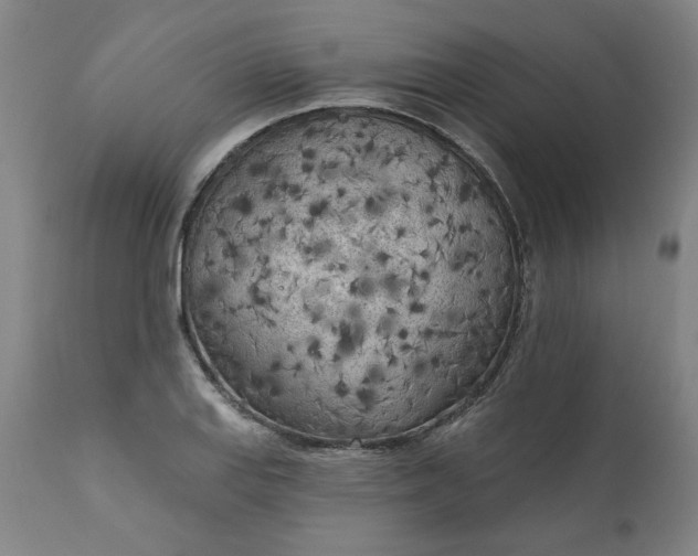 X0000111171127200907151252