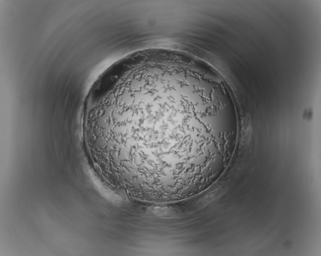 X0000111171128200907151252