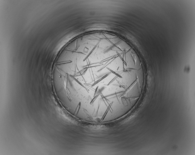 X0000111171129200907151252