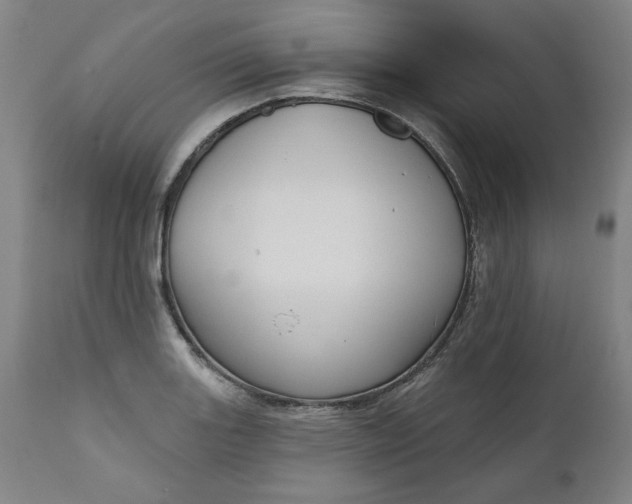 X0000111171131200907151252