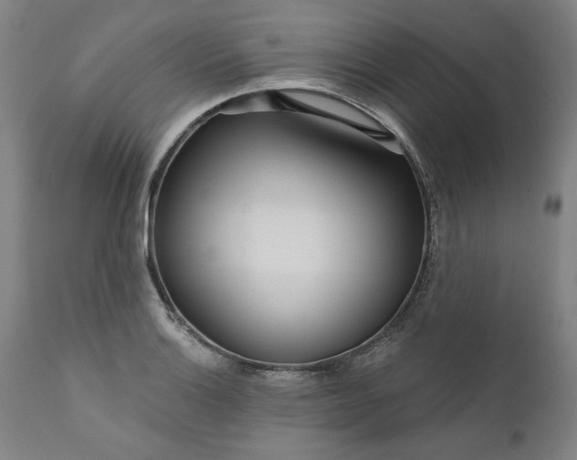 X0000111171132200907151252