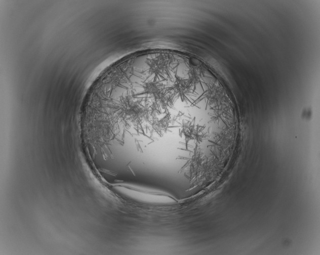 X0000111171133200907151252