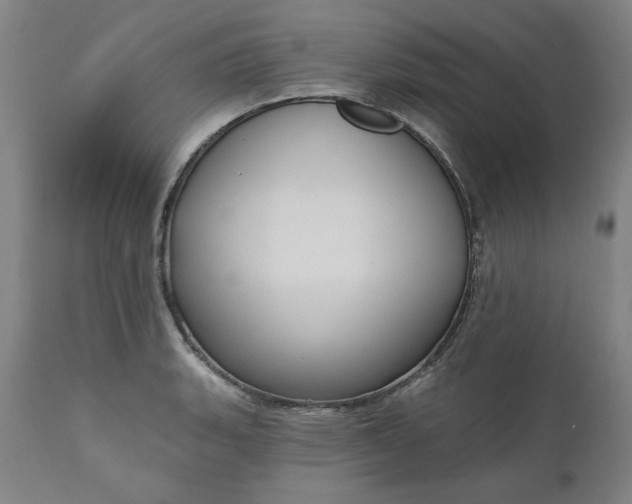 X0000111171135200907151252