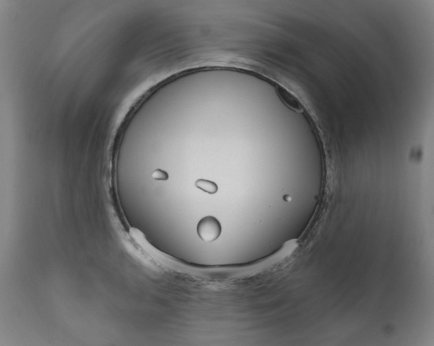 X0000111171136200907151252