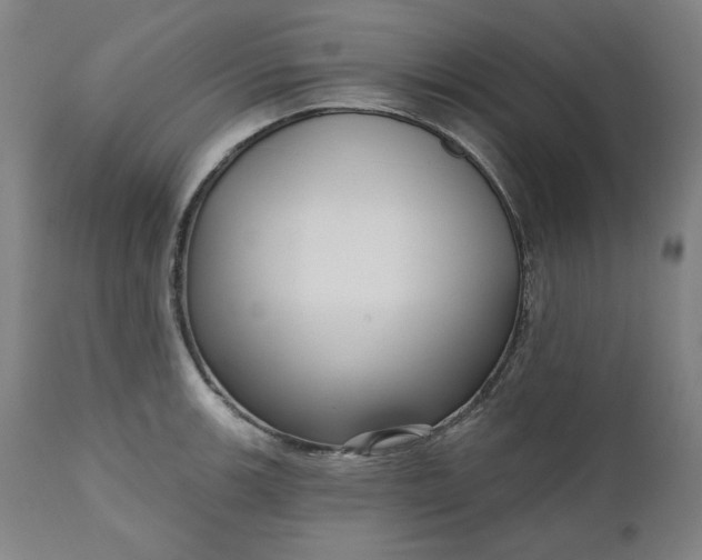 X0000111171139200907151252