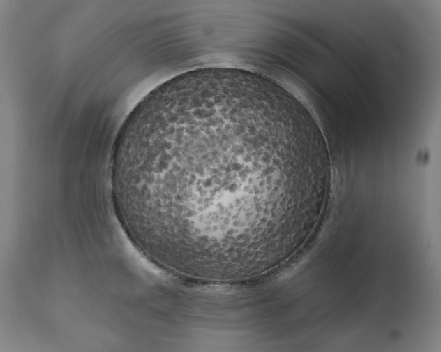 X0000111171141200907151252