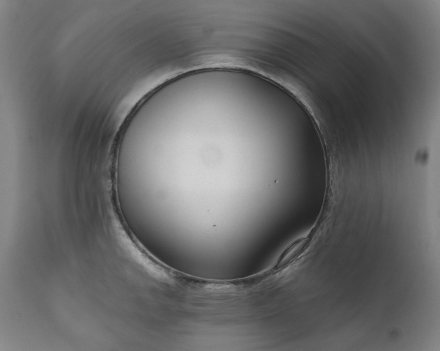 X0000111171142200907151252