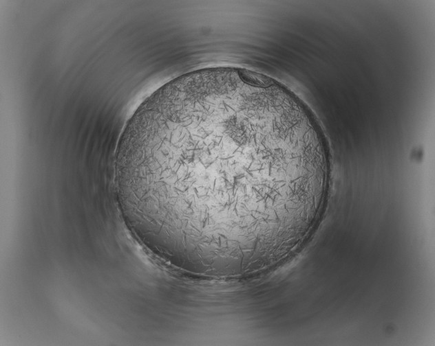 X0000111171145200907151252