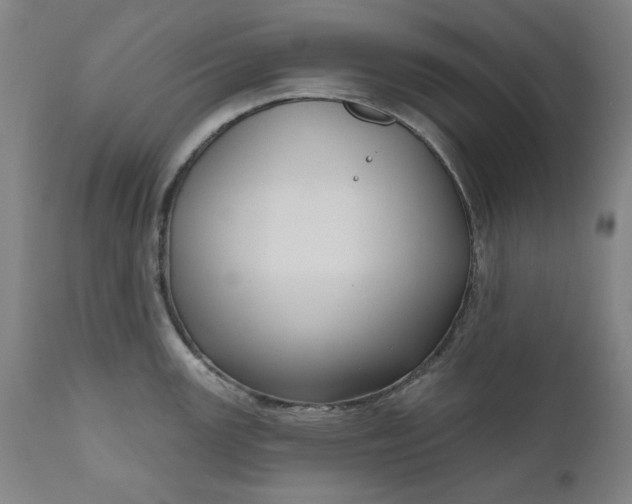 X0000111171147200907151252