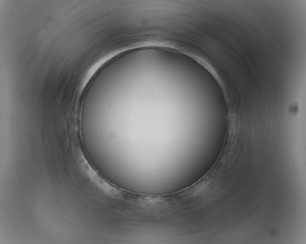 X0000111171148200907151252