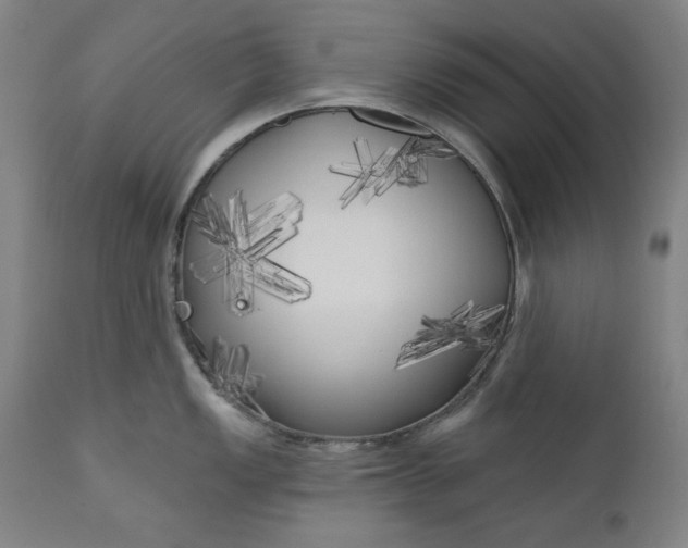 X0000111171149200907151252