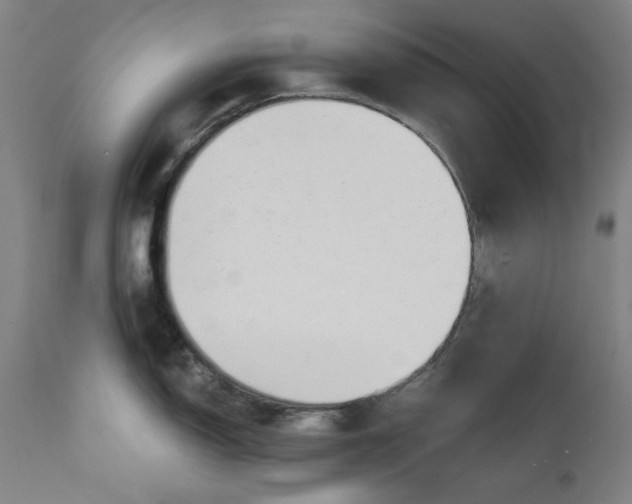 X0000111171150200907151252