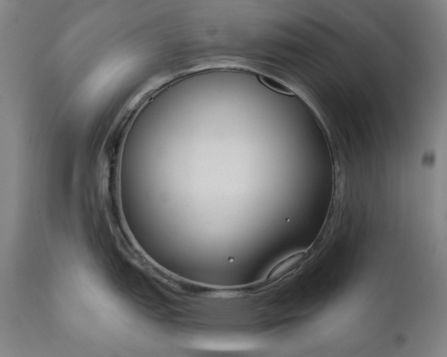 X0000111171151200907151252