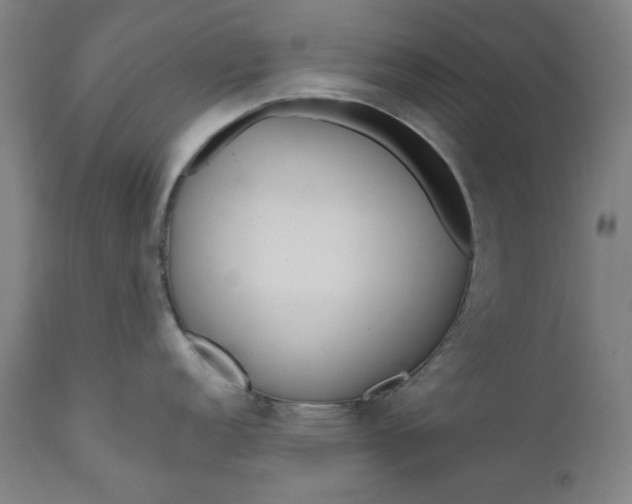 X0000111171152200907151252