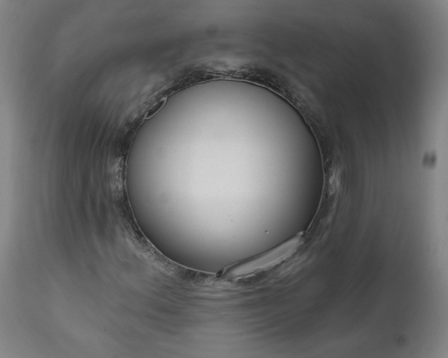 X0000111171156200907151252