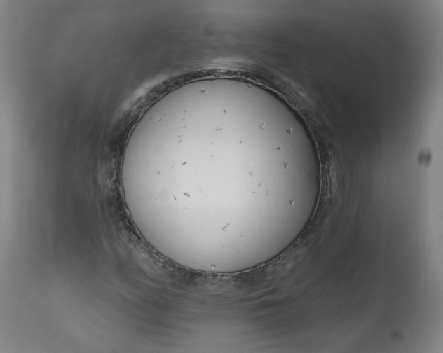 X0000111171158200907151252