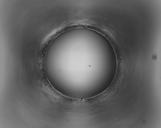 X0000111171159200907151252