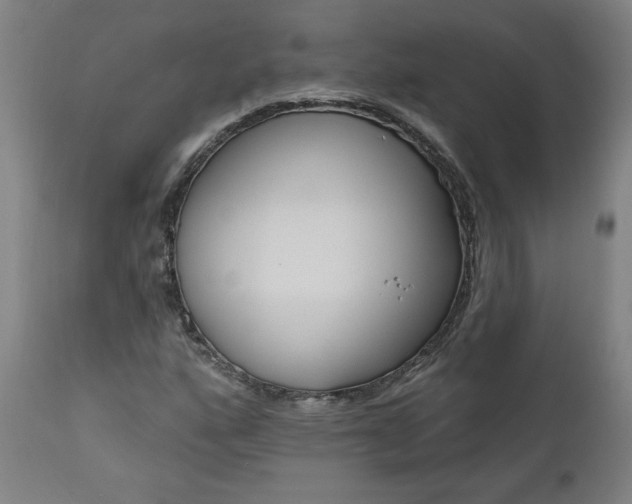 X0000111171160200907151252