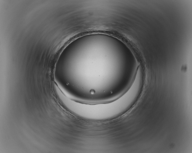 X0000111171161200907151252